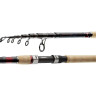 Спиннинг DAIWA NJ X tele 2.70м 50-100гр 11637-275
